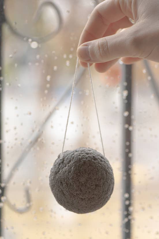 Konjac Facial Sponge - Charcoal